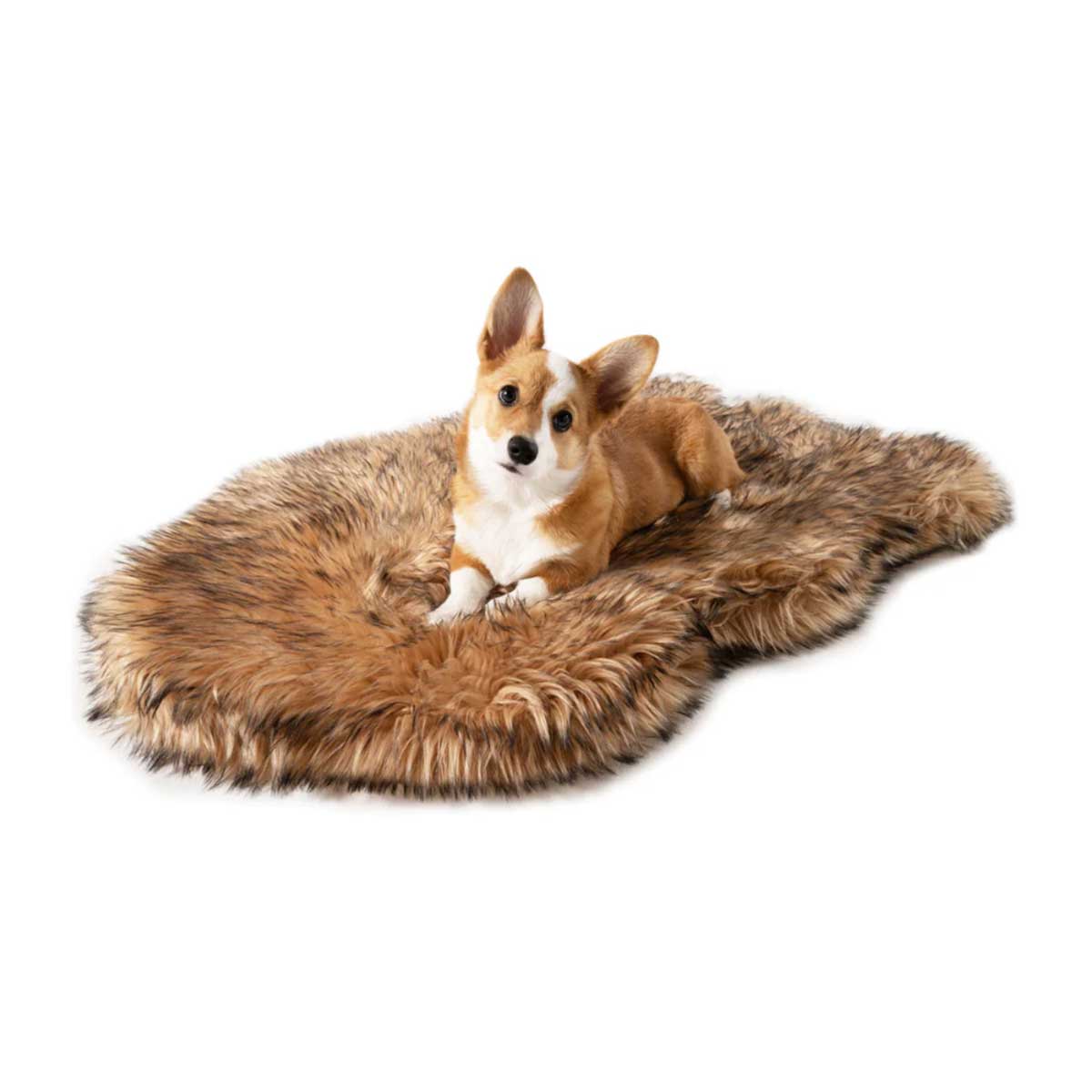 http://www.pawlicious.com/cdn/shop/products/Curved-Orthopedic-Dog-Bed-Sable-10_0dcc7b72-11fd-4a0d-91d9-aa79a85590b2.jpg?v=1665686721