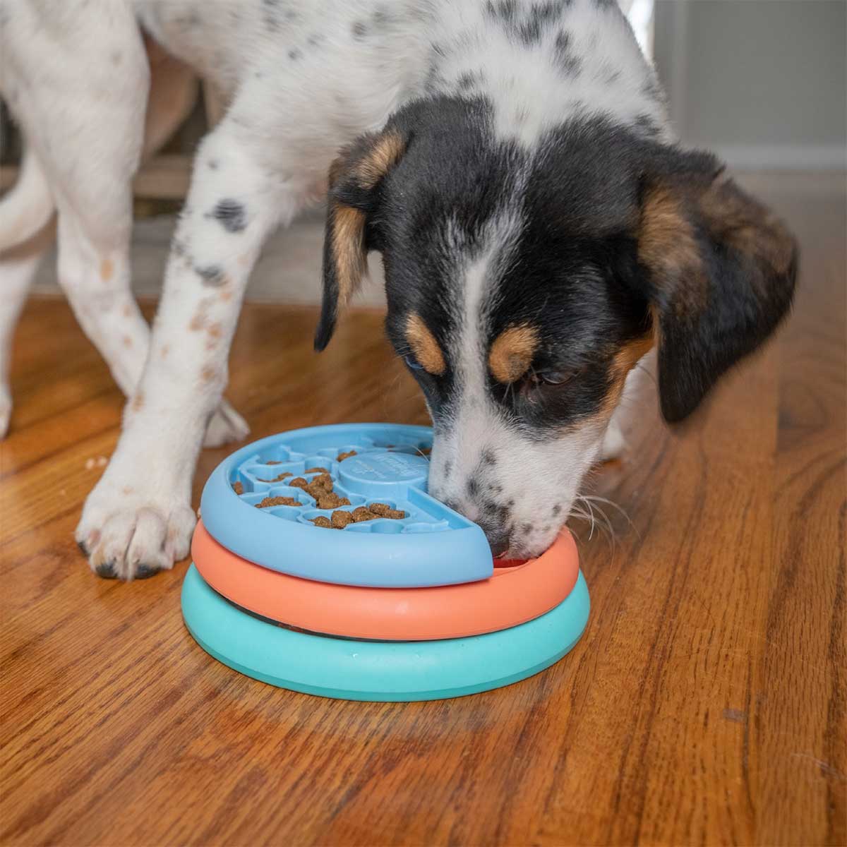 Puppy Lickin Layers Dog Puzzle - Intermediate