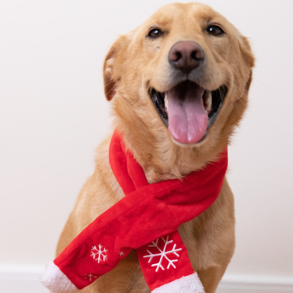 Snowflake Scarf Pet Scarf | Pawlicious & Company