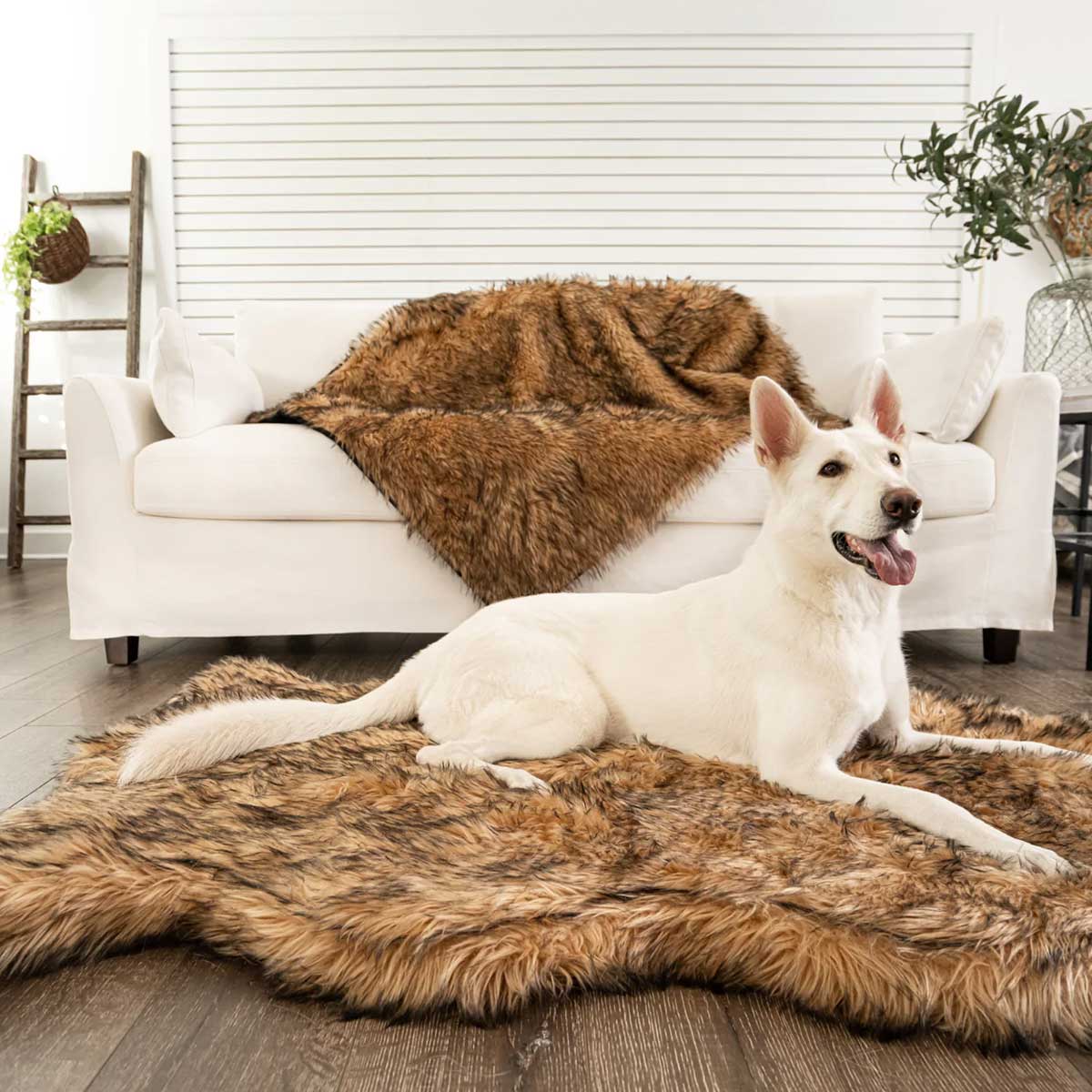 https://www.pawlicious.com/cdn/shop/products/Curved-Orthopedic-Dog-Bed-Sable-1.jpg?v=1665686721