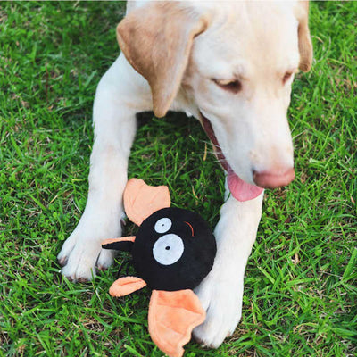 Going Batty Plush Dog Toy | Pawlicious & Company