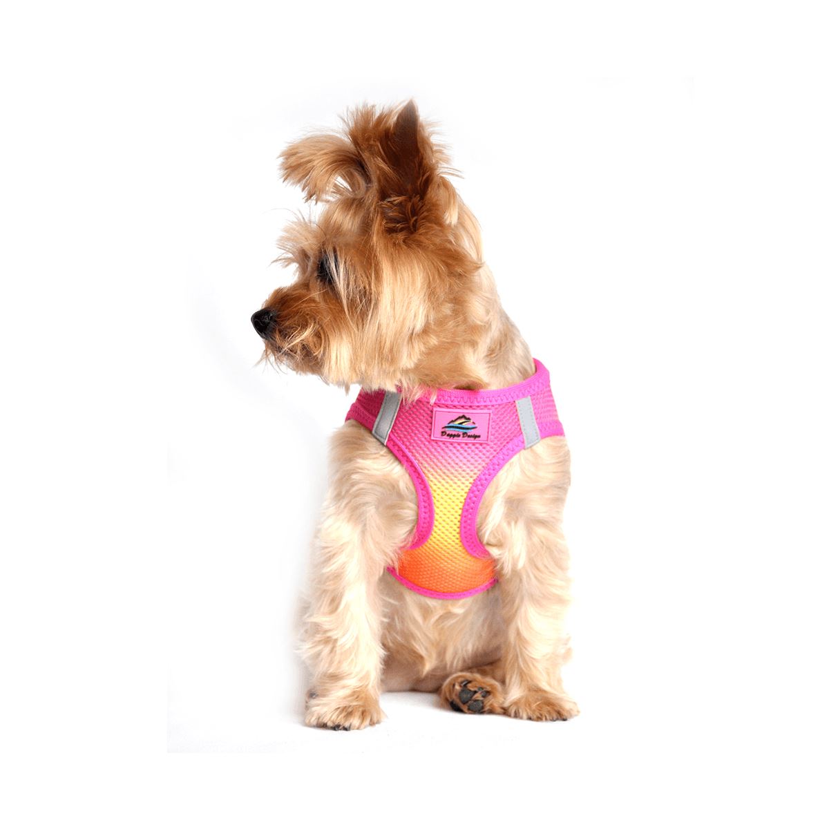 Doggie design american river ombre sales dog harness