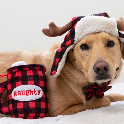 Buffalo Check Trapper Hat | Pawlicious & Company