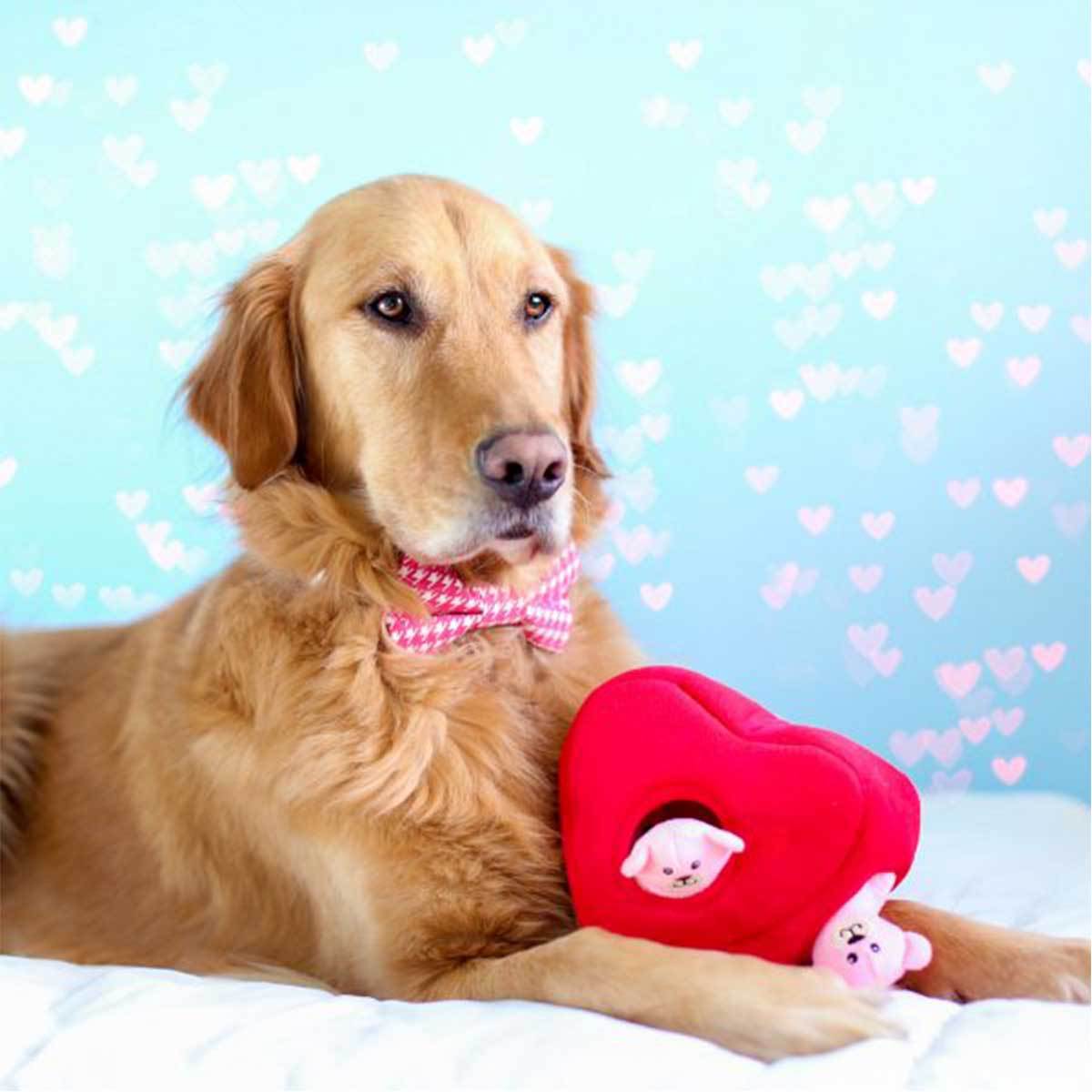 https://www.pawlicious.com/cdn/shop/products/hearts-and-bears-burrow-puzzle-dog-toy-toys-zippy-paws-623735.jpg?v=1570637992