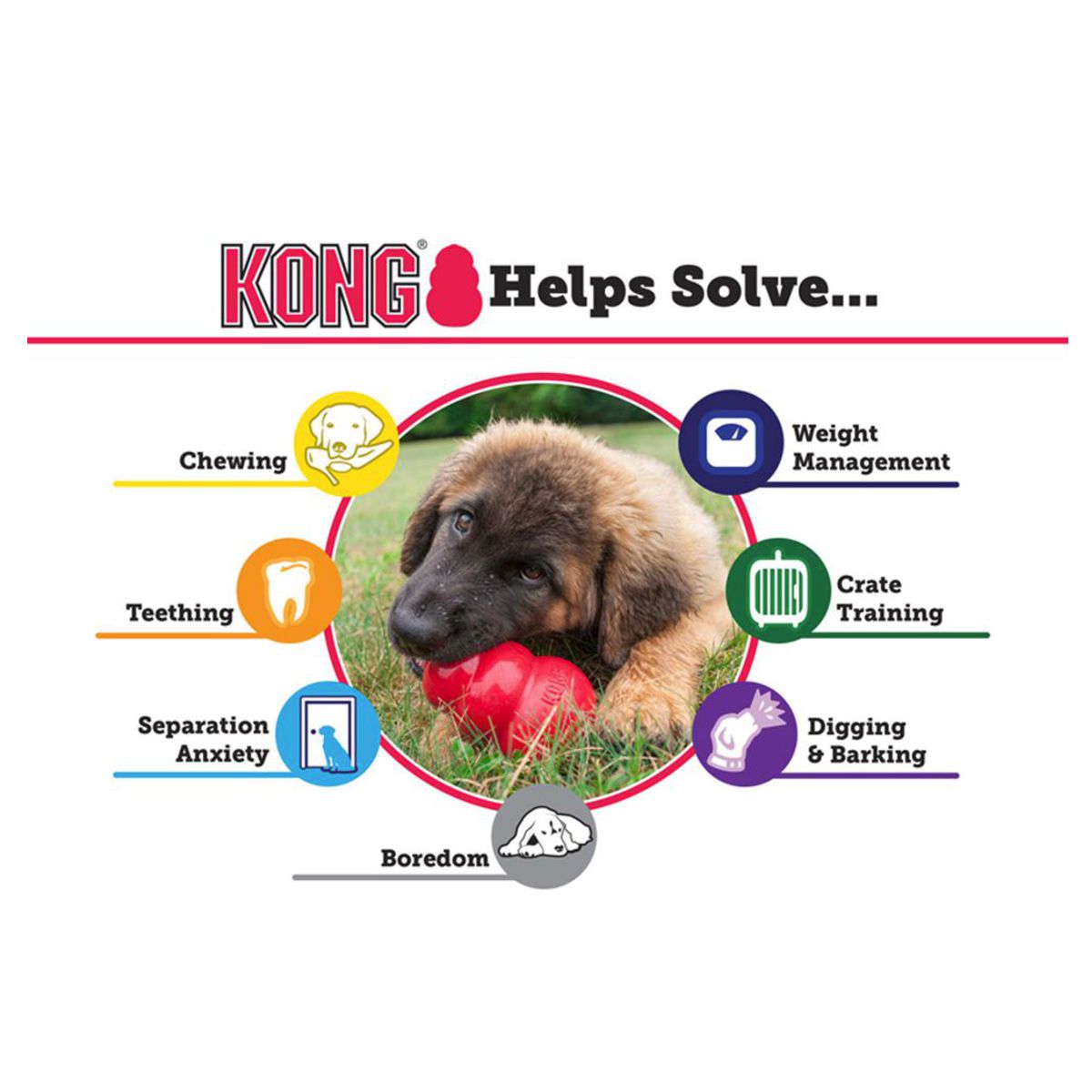 Kong® Senior Treat Dispenser | Pawlicious & Company