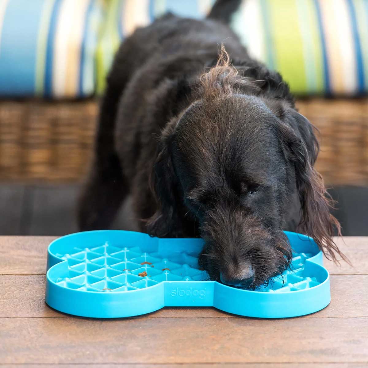 https://www.pawlicious.com/cdn/shop/products/lickimat-slodog-slow-feeder-3.jpg?v=1655475172