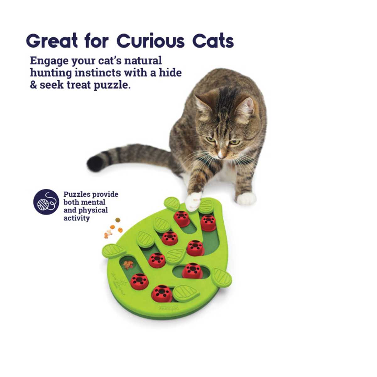 Nina Ottosson by Petstages Melon Madness Puzzle & Play - Interactive Cat  Treat Puzzle