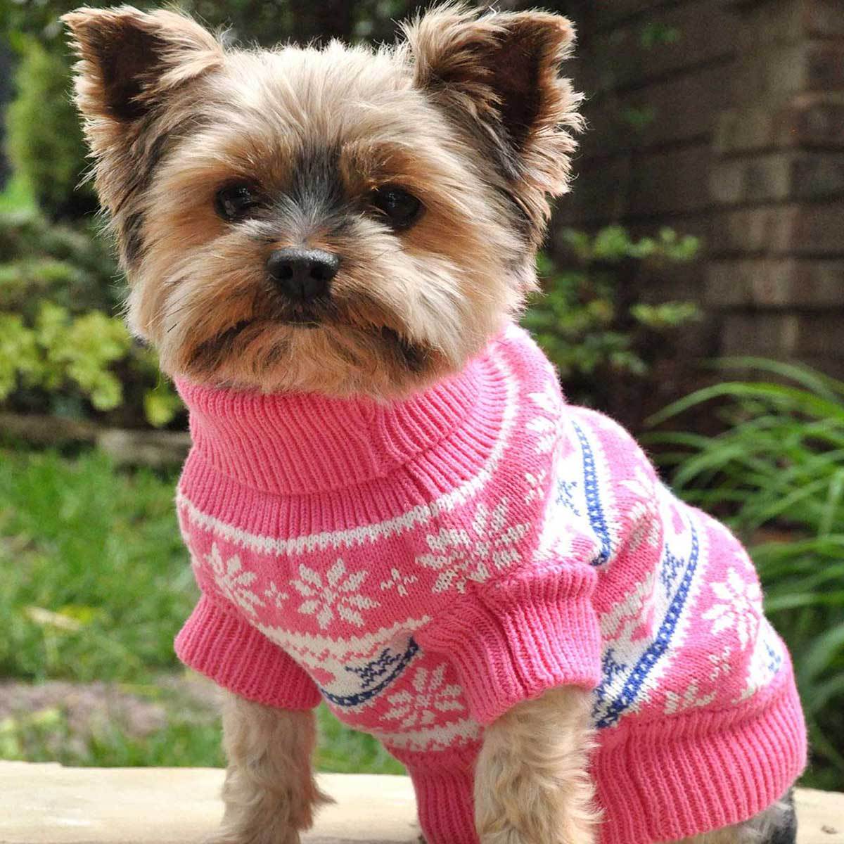 Pink shop snowflake sweater