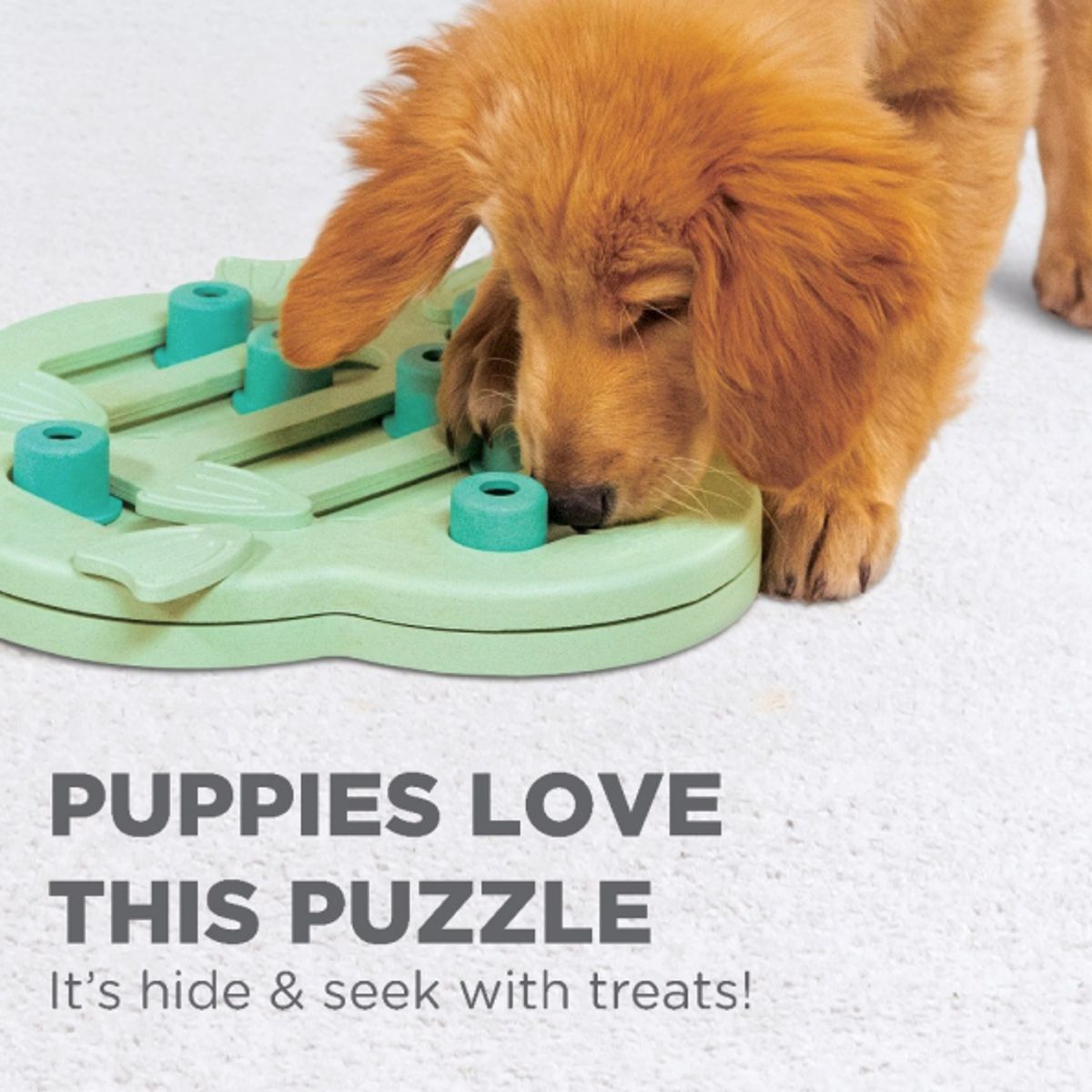 https://www.pawlicious.com/cdn/shop/products/puppy-hide-n-slide-dog-game-2.jpg?v=1610052059