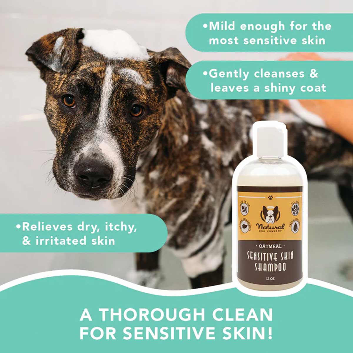 Natural Dog Company Sensitive Skin Oatmeal Dog Shampoo