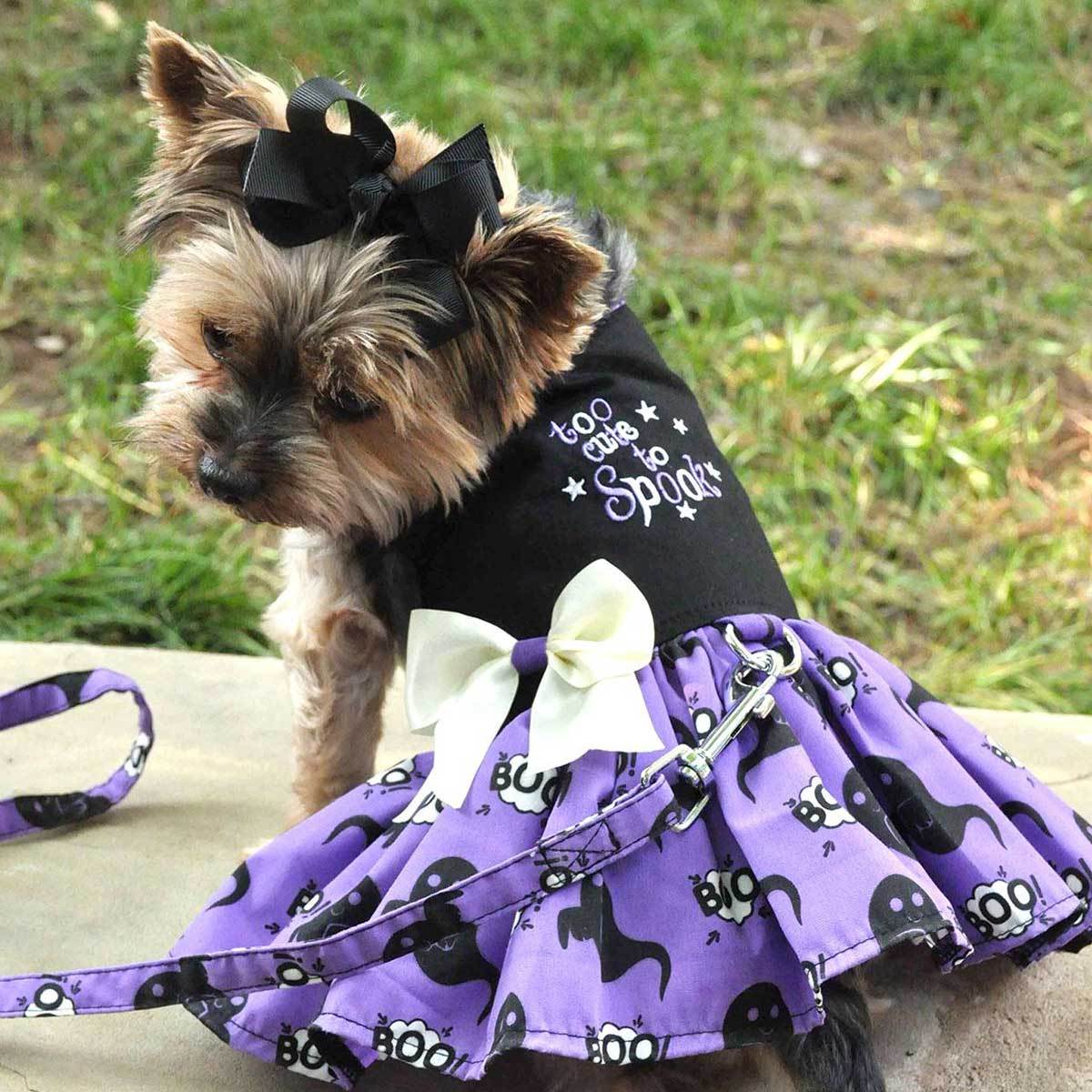 Doggie 2024 design dresses