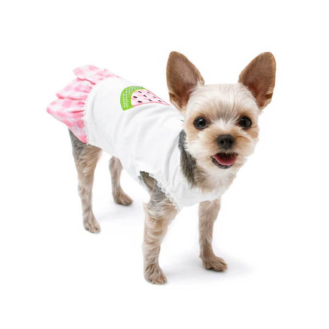 Dog watermelon costume best sale