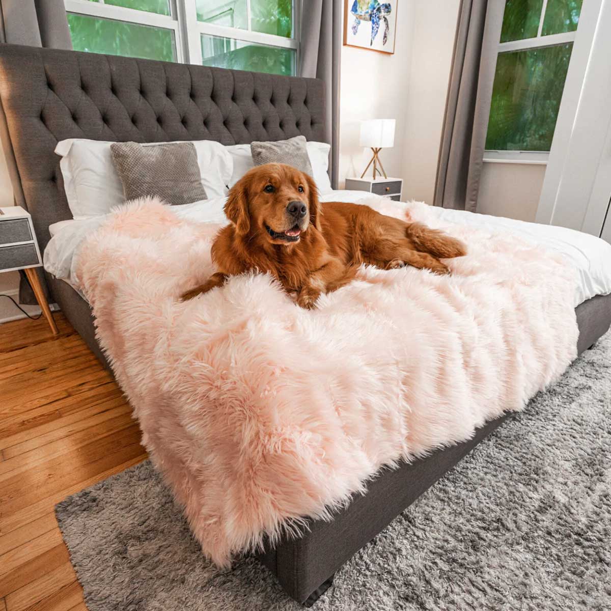 PupProtector Waterproof Throw Blanket - Blush Pink | Pawlicious & Company