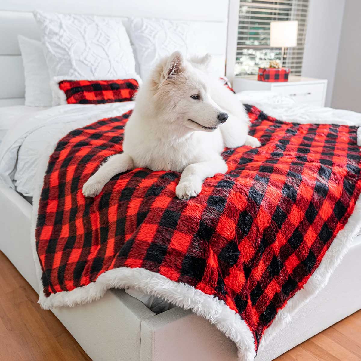 Pupprotector discount throw blanket