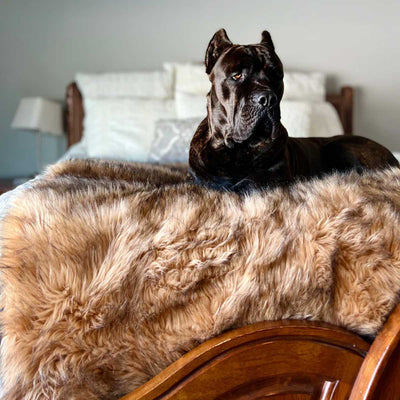 PupProtector Waterproof Throw Blanket - Sable Faux Fur | Pawlicious & Company