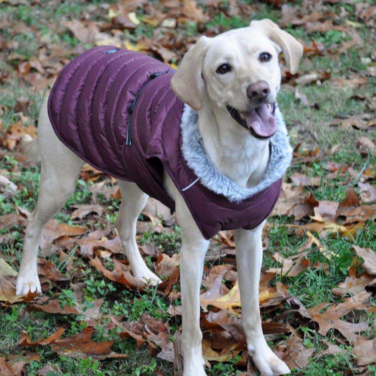 Puffer Dog Jacket